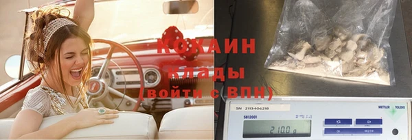 эйфоретик Гусев