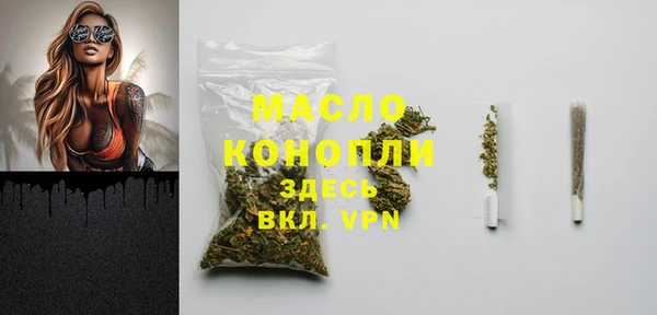эйфоретик Гусев