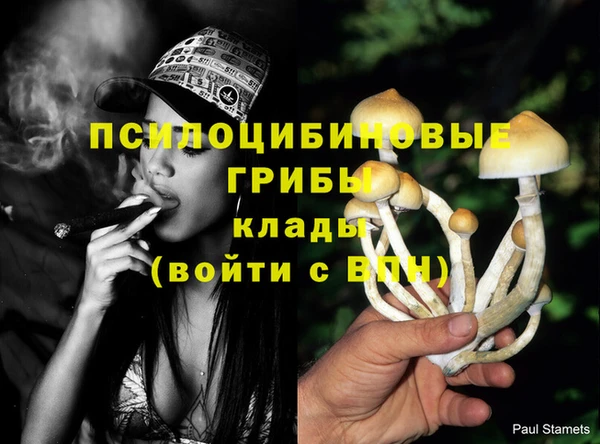 эйфоретик Гусев