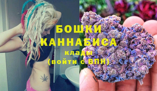 эйфоретик Гусев