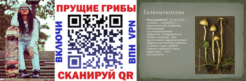Галлюциногенные грибы прущие грибы  Няндома 